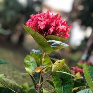 Meet your Posher, Savannah